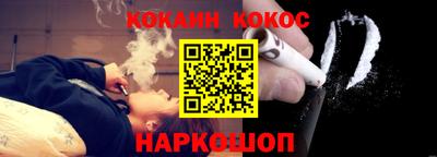 шишки Лесной