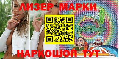 шишки Лесной