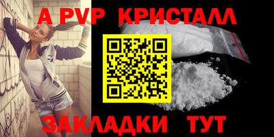 шишки Лесной